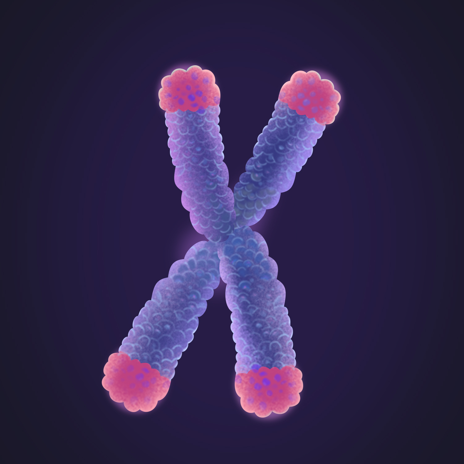 The Telomere Effect: Unlocking the Secrets of Aging and Health