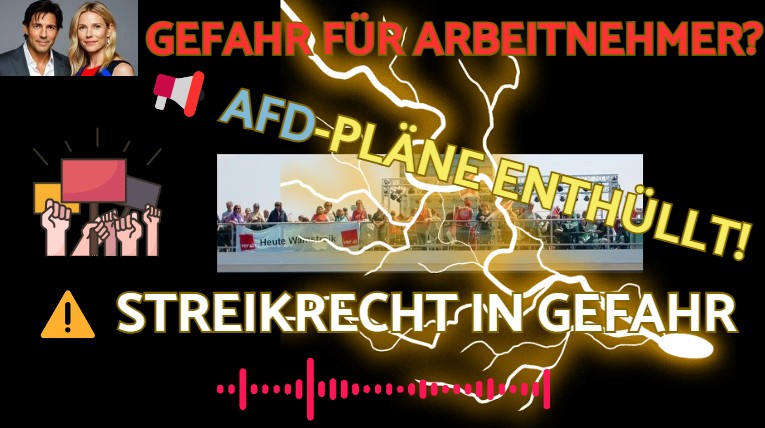 🆘SO arbeitnehmerFEINDLICH ist die AFD wirklich - Unternehmen profitieren episode artwork