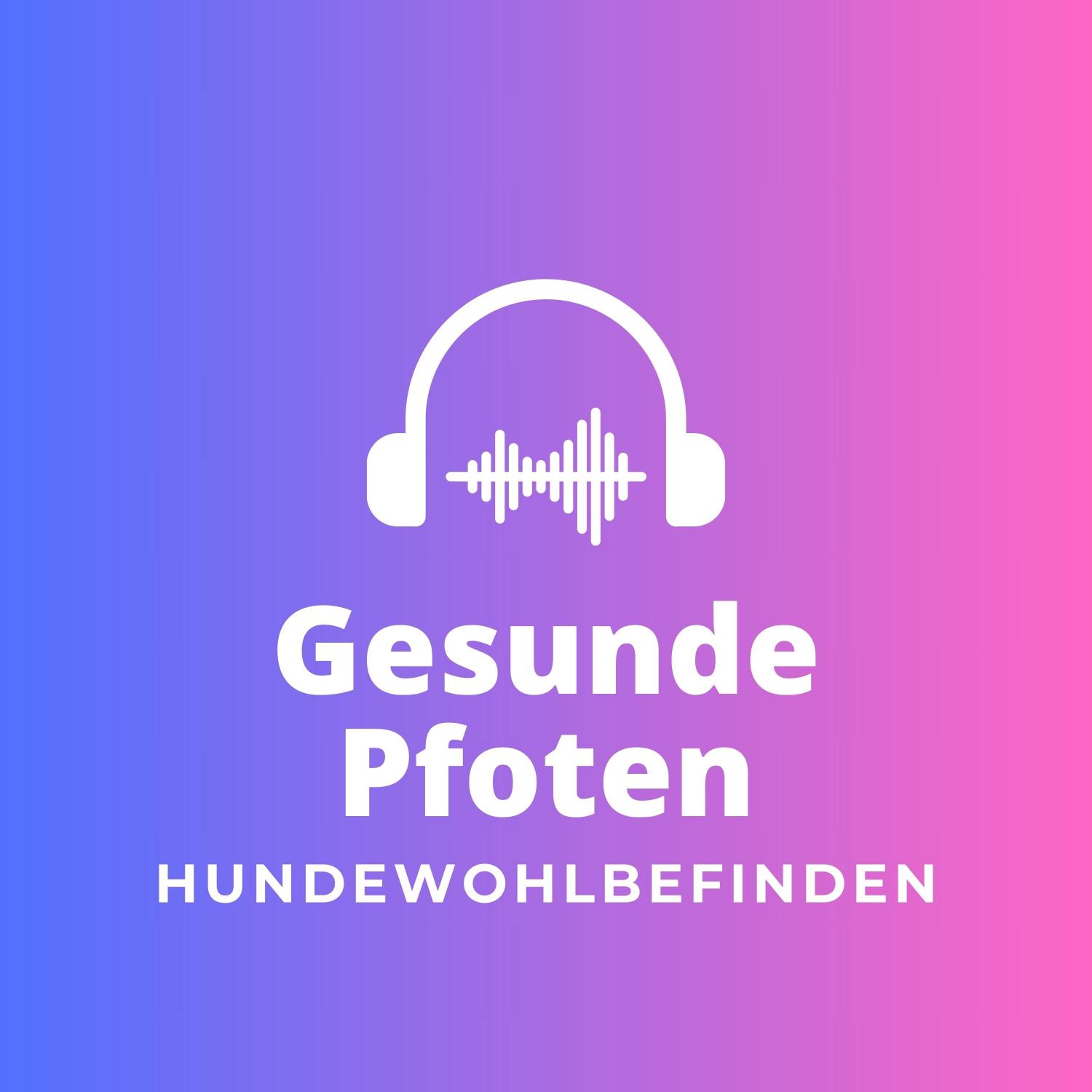 Gesunde Pfoten: Hundewohlbefinden