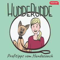 HundeRunde - Profitipps vom Hundecoach