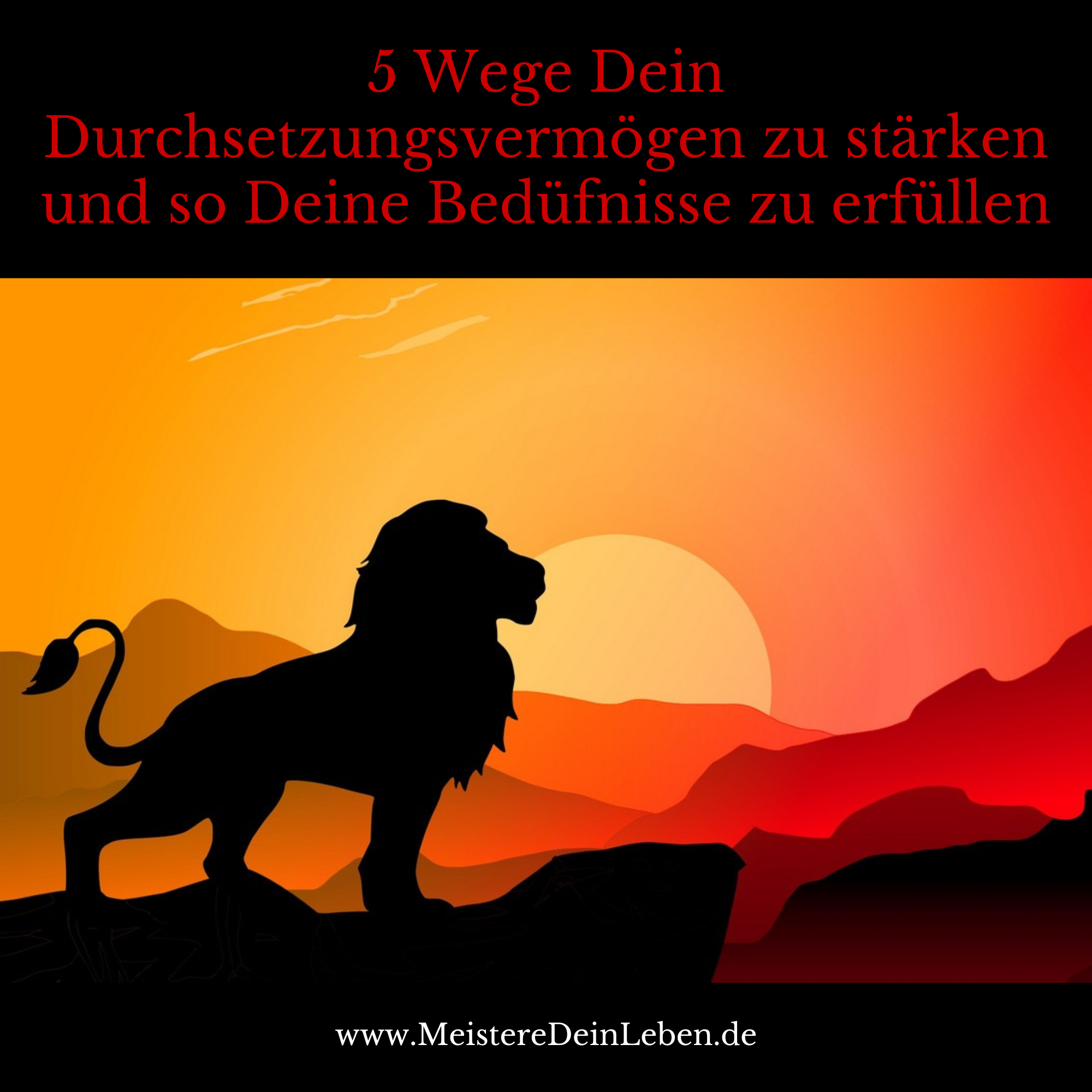 5 Wege Dein Durchsetzungsvermögen zu stärken und so Deine Bedürfnisse zu erfüllen episode artwork