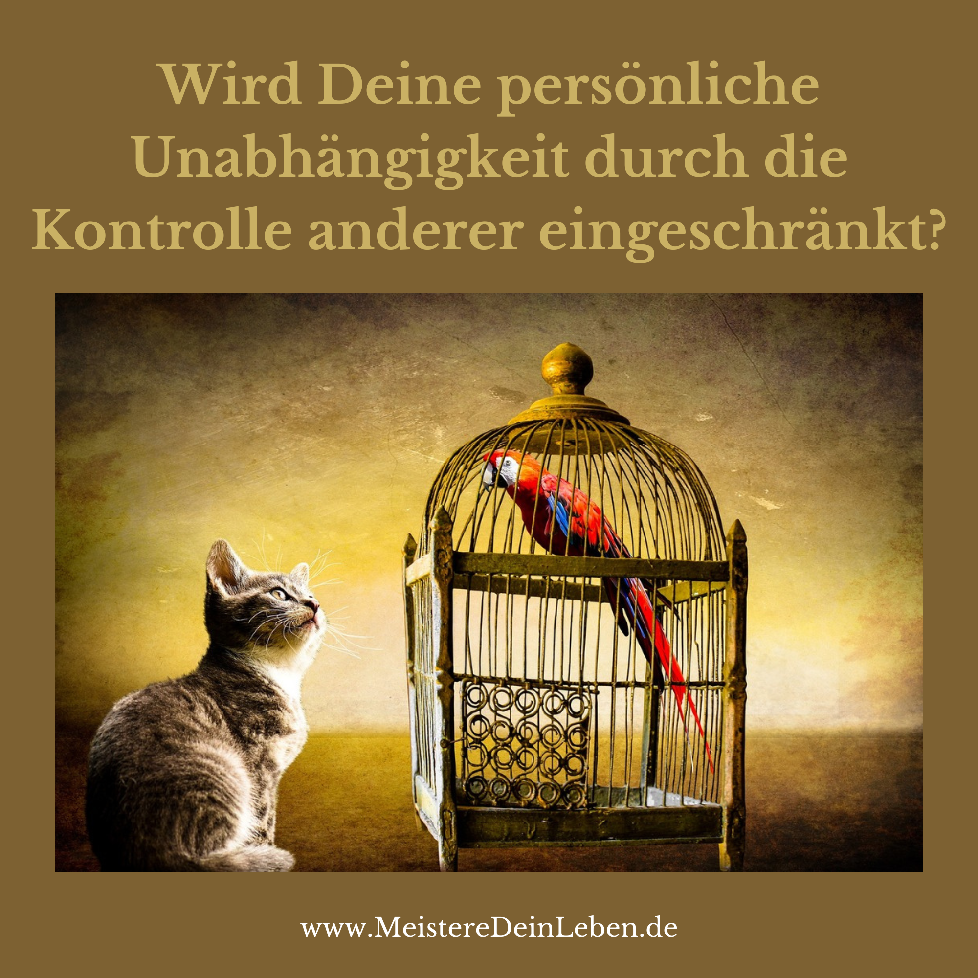 Wird Deine persönliche Unabhängigkeit durch die Kontrolle anderer eingeschränkt?
