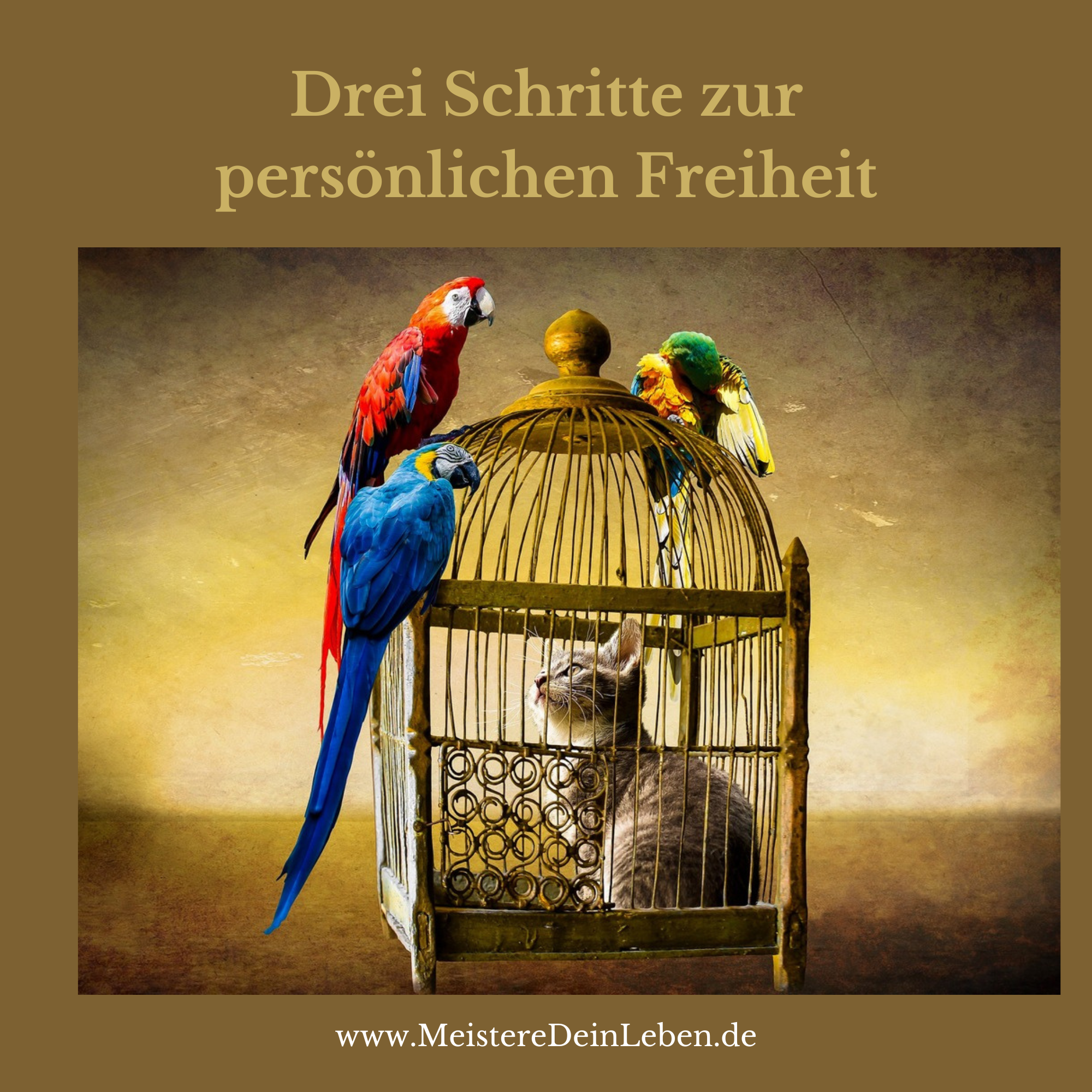 Drei Schritte zur persönlichen Freiheit episode artwork