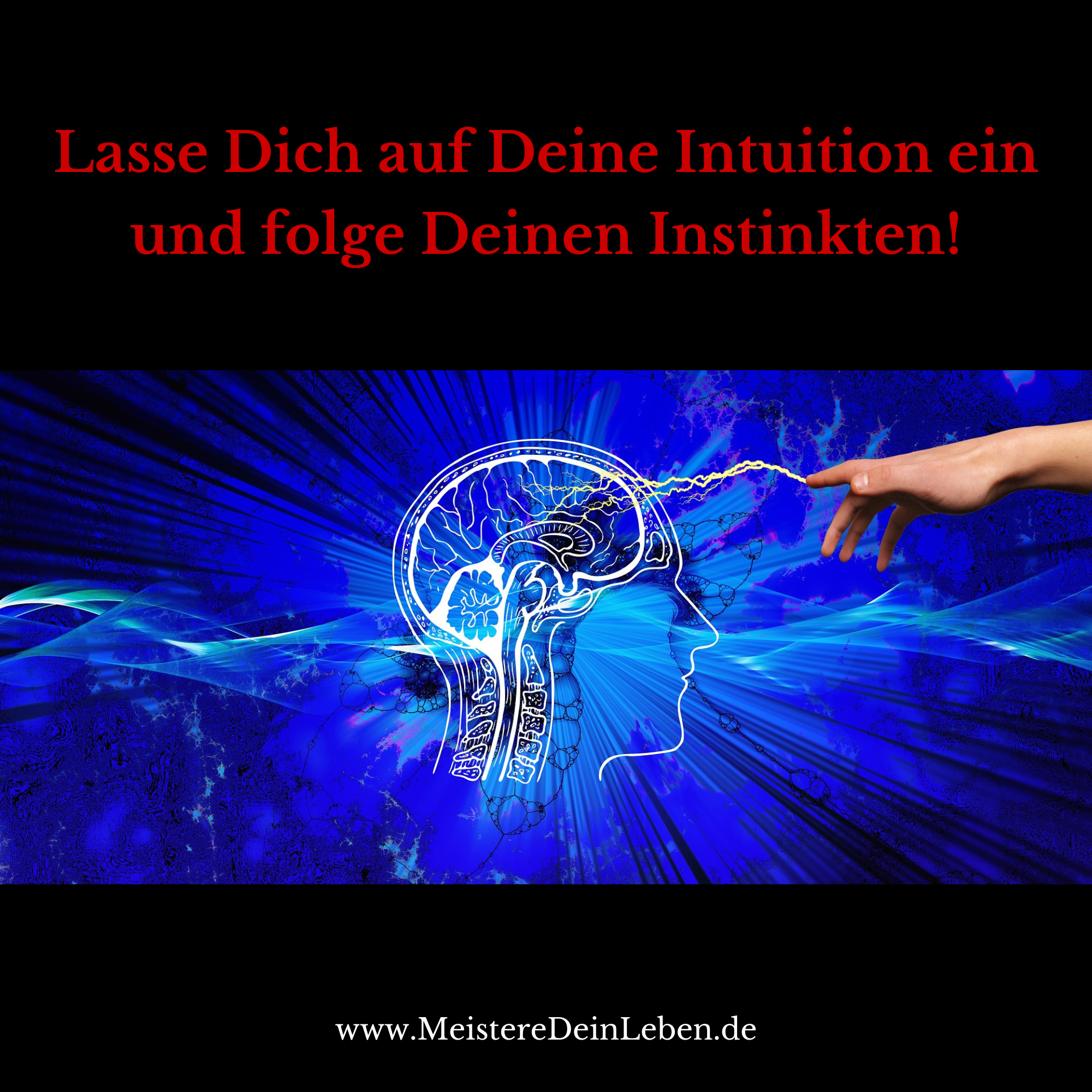 Lass Dich auf Deine Intuition ein und folge Deinen Instinkten! episode artwork