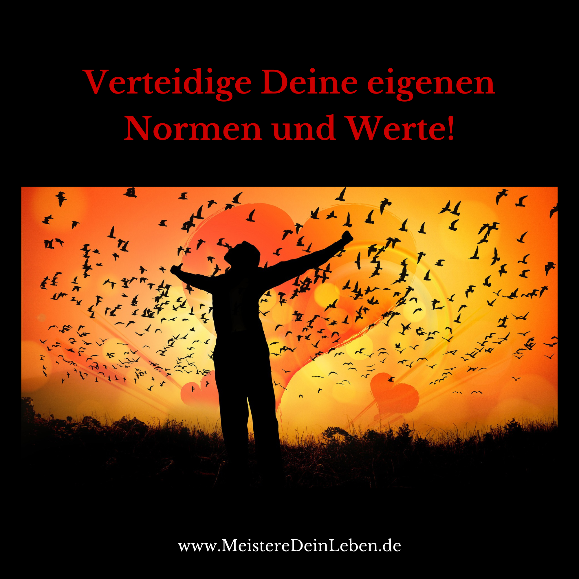 Meistere Dein Leben