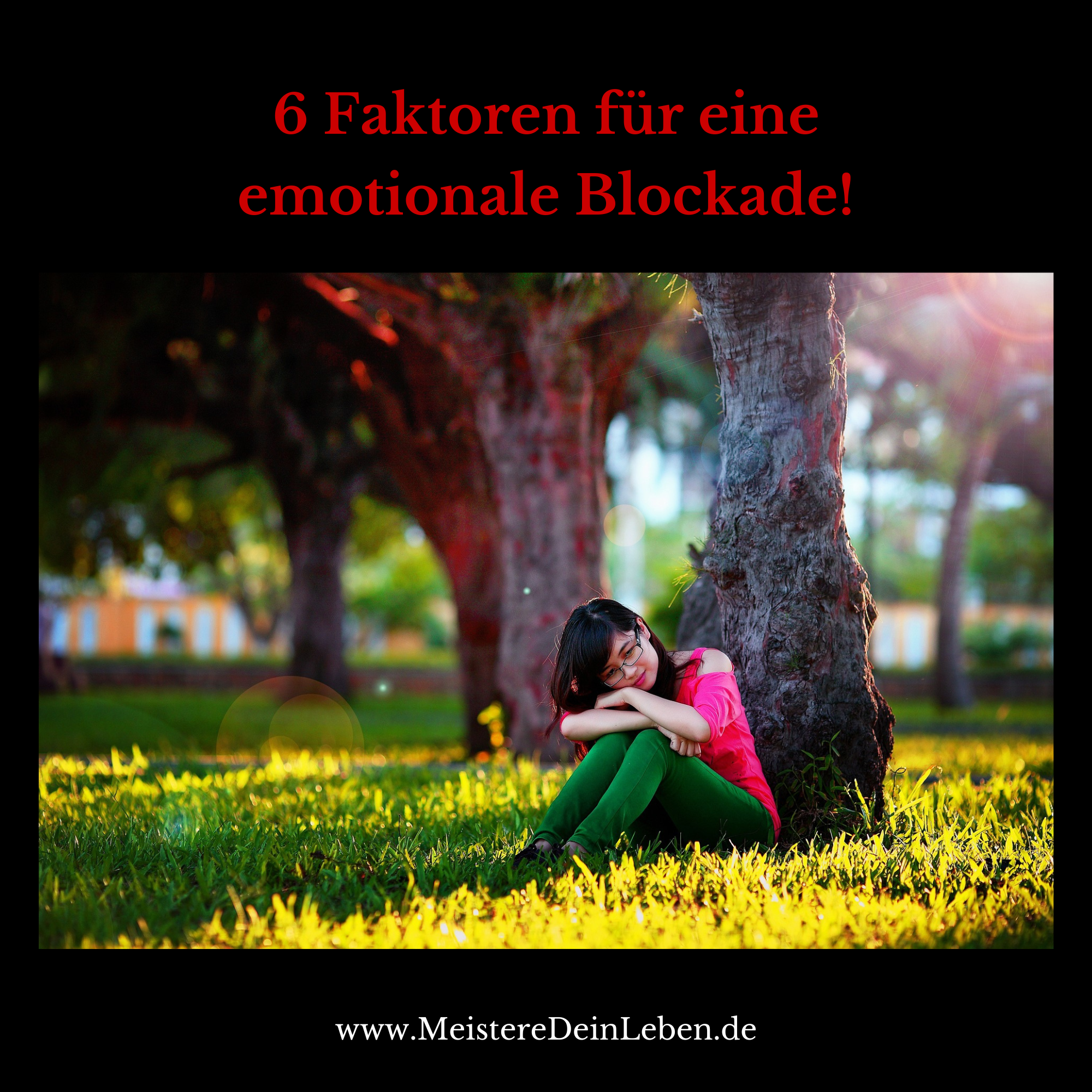 6 Faktoren für eine emotionale Blockade ! episode artwork