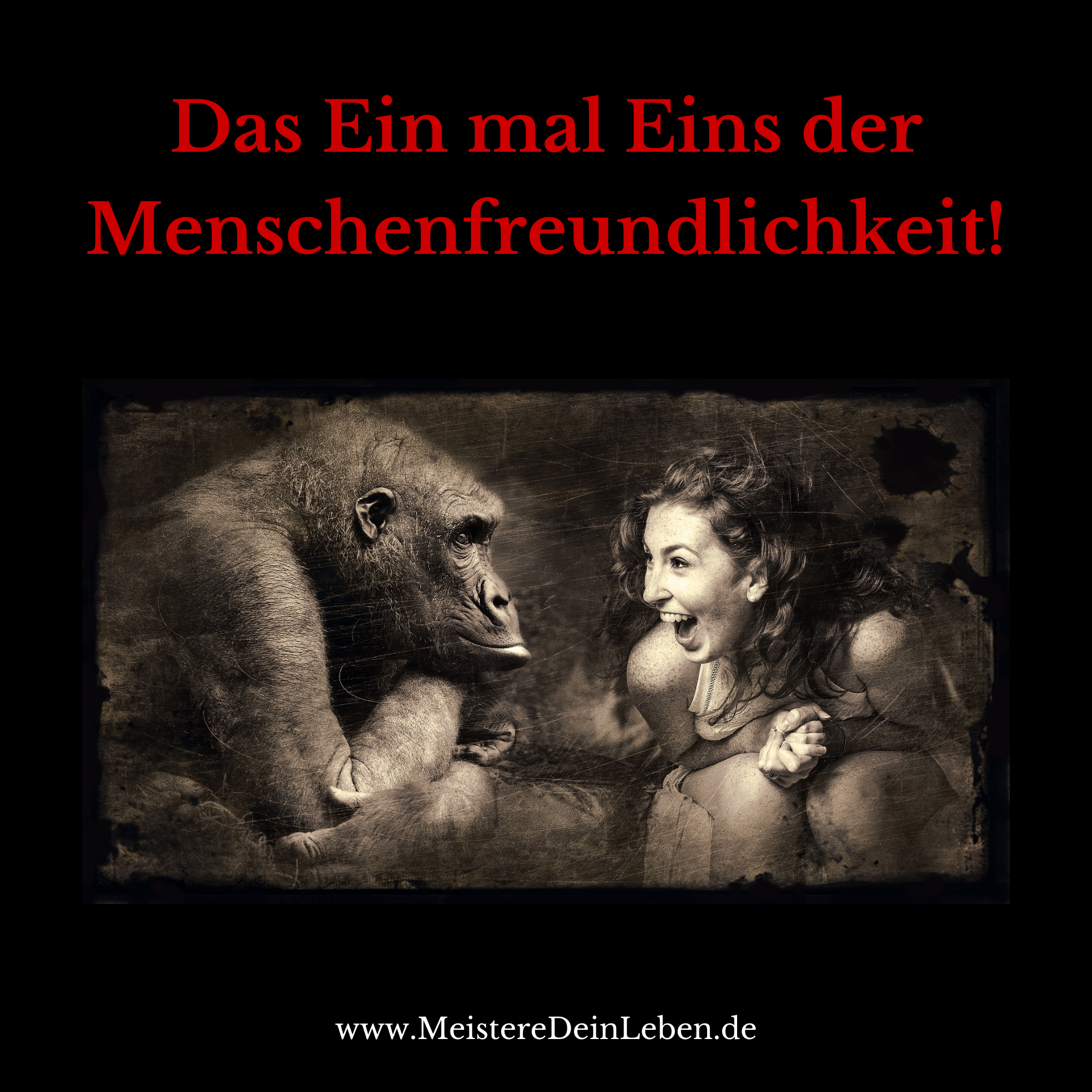 Das Ein mal Eins der Menschenfreundlichkeit! episode artwork