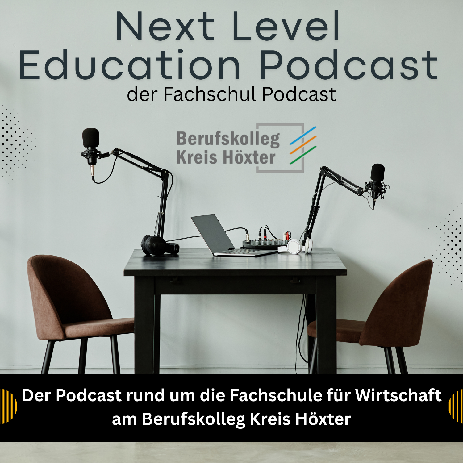 Next Level Education Podcast podcast artwork