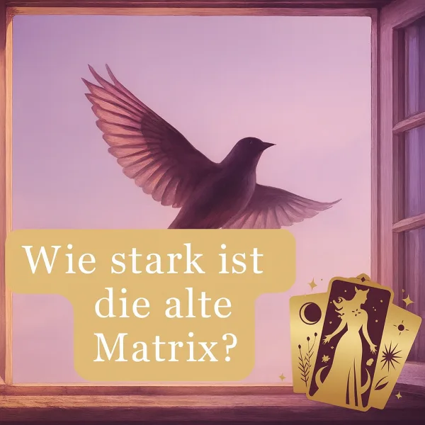 Wie stark ist die alte Matrix? Kommt gar eine Neuauflage?