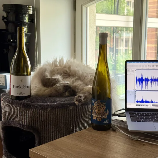 Blindflug 185: Ringen um Worte
