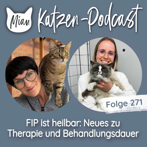 FIP ist heilbar: Neues zu Therapie und Behandlungsdauer | MKP271