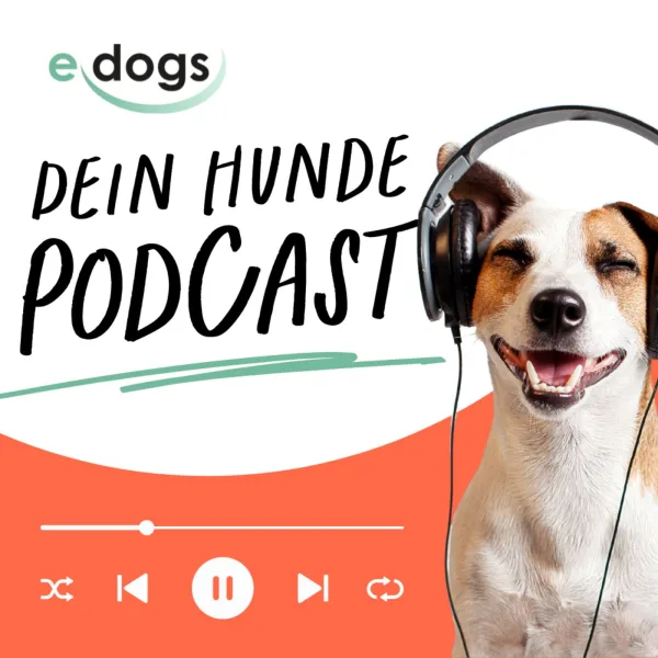 Diagnose Krebs beim Hund