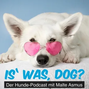Was ein Hund uns über Geduld und Gelassenheit beibringt
