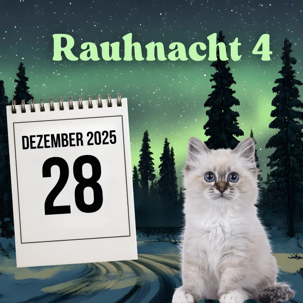 4. Rauhnacht am 28. Dezember – Was offenbart die Nacht der Geheimnisse?
