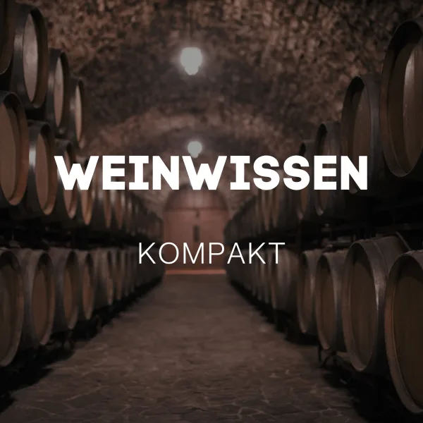 Rotwein für Anfänger: Was Sie wissen müssen