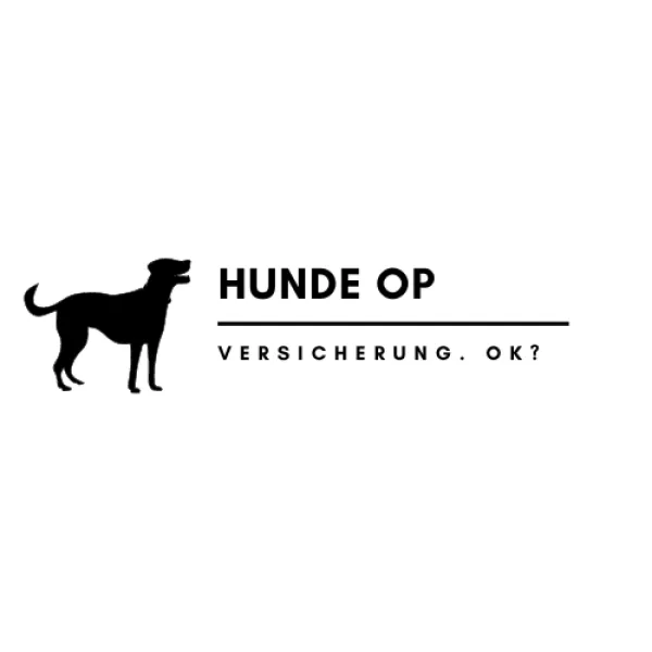Das geliebte Haustier. Wie funktioniert eine Hunde-Op-Versicherung?