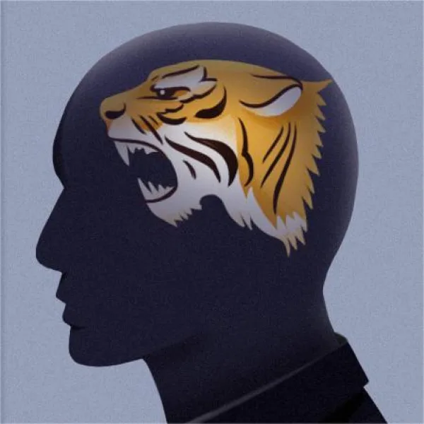 The Power of Healing: Exploring Trauma in Waking The Tiger