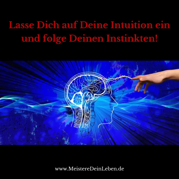 Lass Dich auf Deine Intuition ein und folge Deinen Instinkten!
