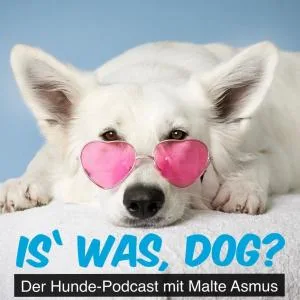 Vom Nein zum Hund: Der Moment, der alles verändert hat