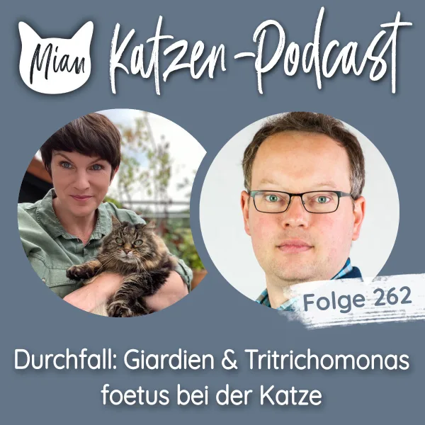 Durchfall: Giardien und Tritrichomonas foetus bei der Katze | MKP262