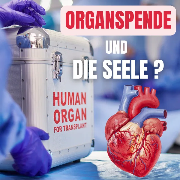 Organspende und die Seele: Welche Auswirkungen hat sie wirklich auf uns?