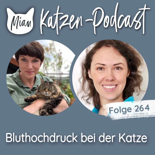 Bluthochdruck bei der Katze | MKP264