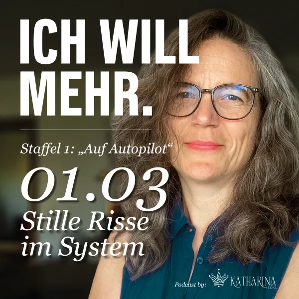 03 - Stille Risse im System