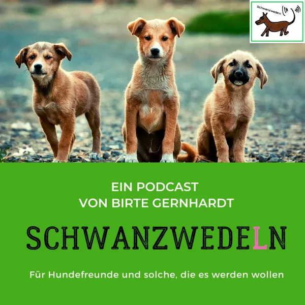 113 Adipositas auf 4 Pfoten? – lieber gesund statt zu schwer