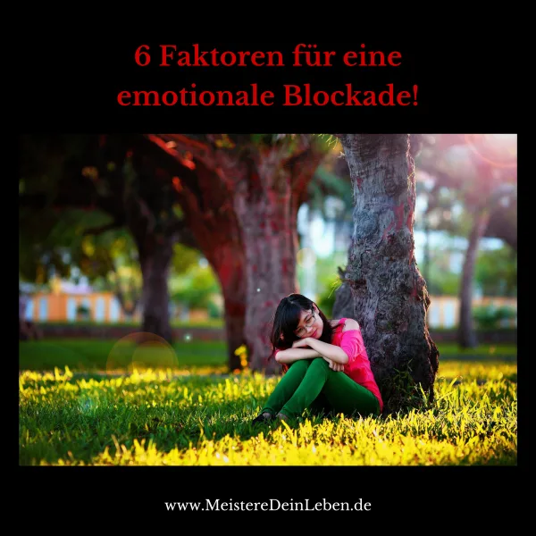6 Faktoren für eine emotionale Blockade !
