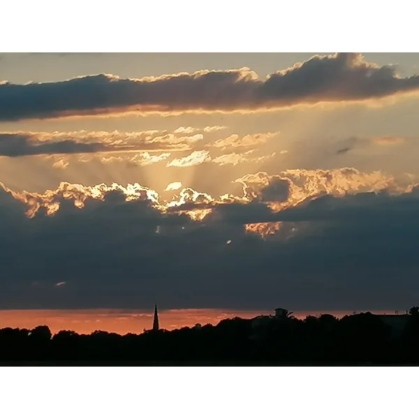 Der Künstler und die Musik