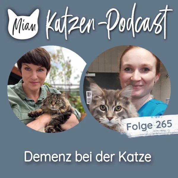 Demenz bei der Katze | MKP265