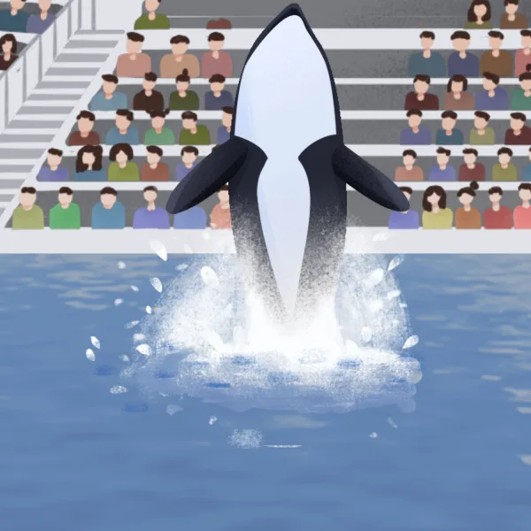 Unveiling the Hidden Realities: Exploring Marine Mammals in Beneath The Surface