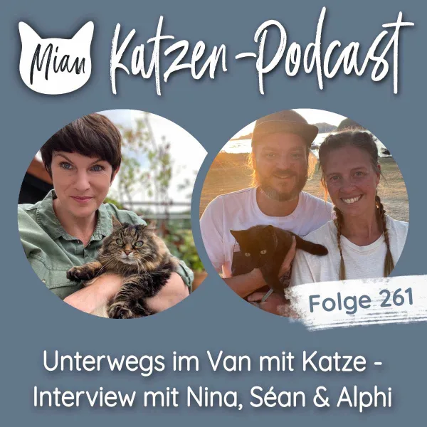 Unterwegs im Van mit Katze | MKP261