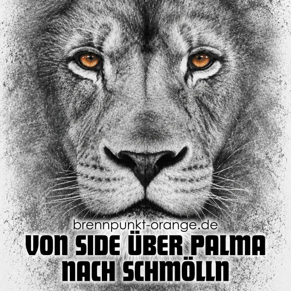329 | Von Side über Palma nach Schmölln: Der Doppelabstiegspodcast