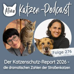Der Katzenschutz Report 2026 | MKP276