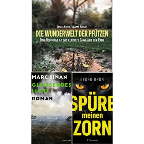 (108) Spüre den Zorn: Gleißendes Licht in der Pfütze!