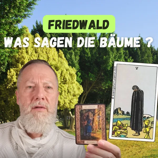 Friedwald: Was erzählen uns die Bäume über neue Begräbnisse?