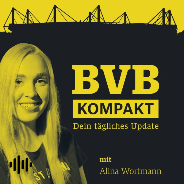 BVB-Ratings von EA FC 27 | BVB-Geschäftsbericht ist veröffentlicht