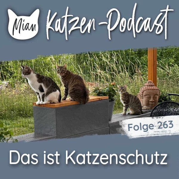 Das ist Katzenschutz | MKP263