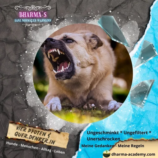 Problematisches Hundeverhalten?