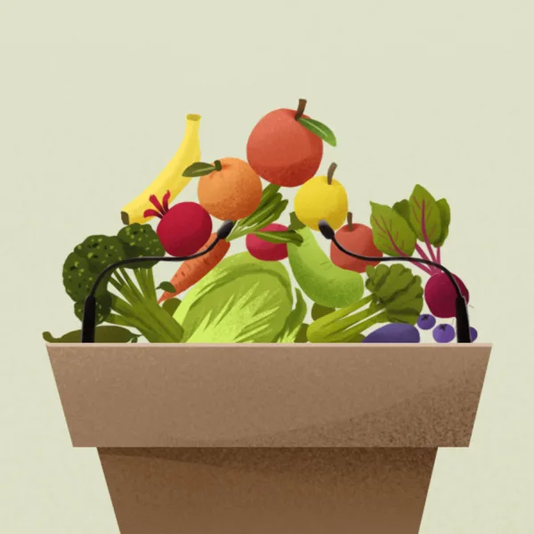 The Mandate for Mindful Eating: Michael Pollan's Defense of Food