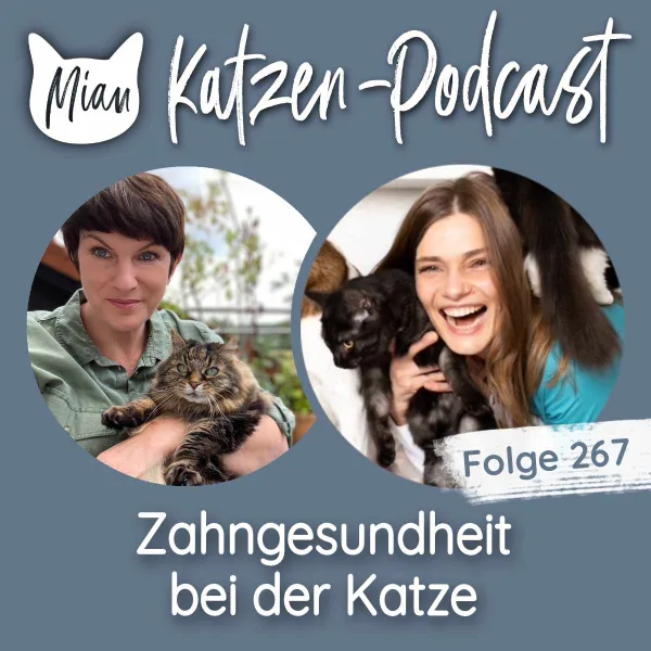 Zahngesundheit bei der Katze | MKP267