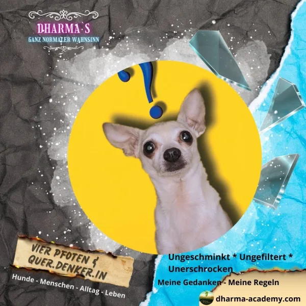Der Hund - das unbekannte Wesen?