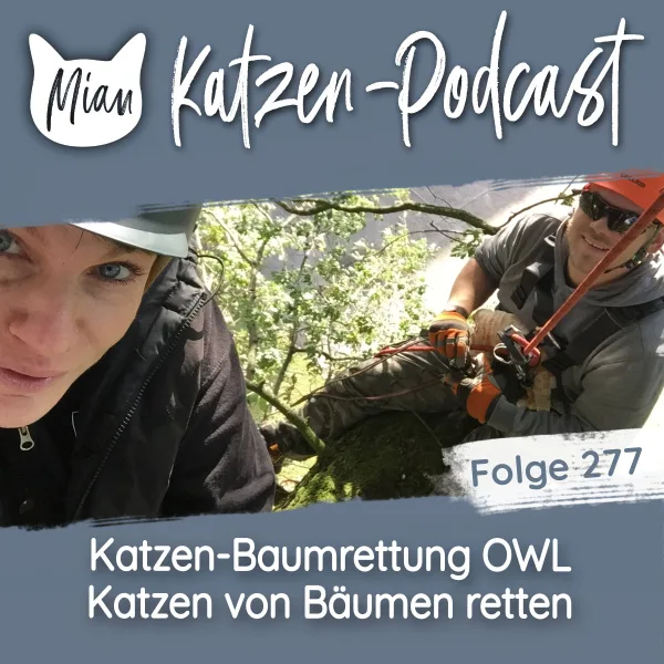 Katzen-Baumrettung OWL | MKP277