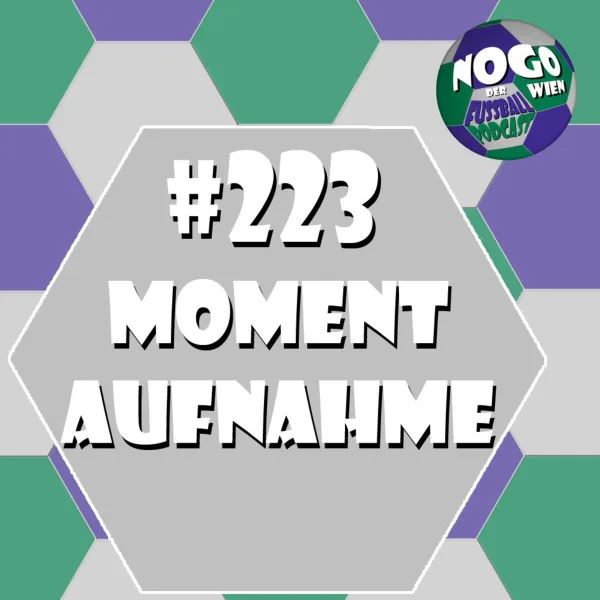 #223 - Momentaufnahme
