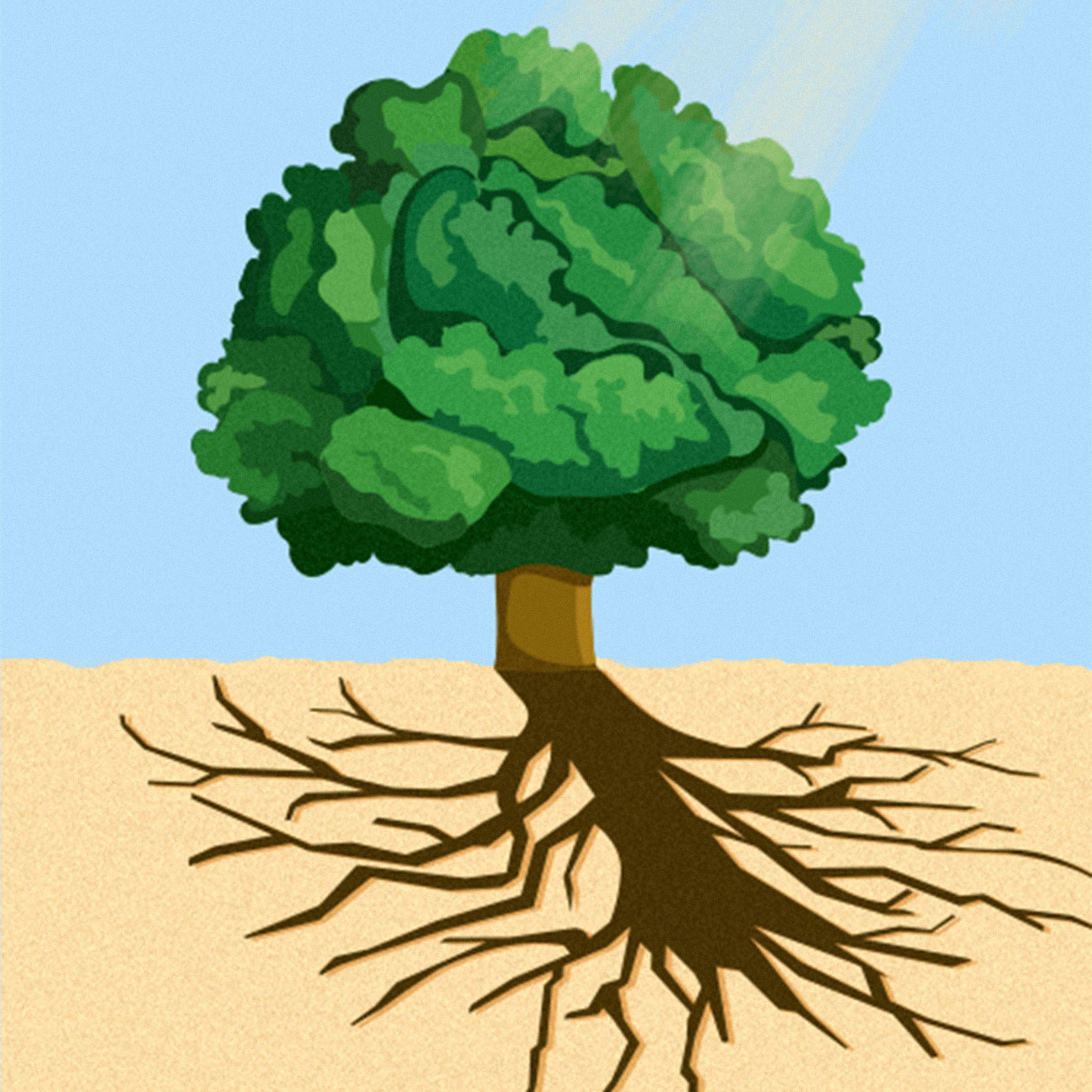 Reading Recap: Book Summaries