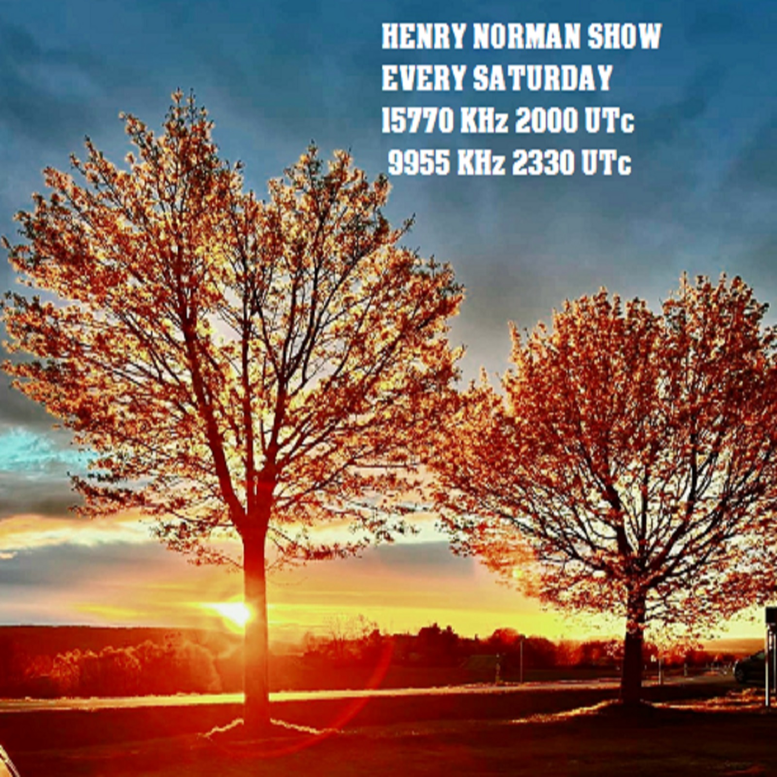 Henry Norman Show Episode 21 - November 16th, 2025 episode artwork